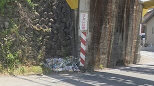 Woman, 21, dies after sticking her head out of passenger seat of moving mini car and hitting an overpass; son in back seat unharmed; driver, 21, arrested on suspicion of drunk driving - Gifu, Kasamatsu Town