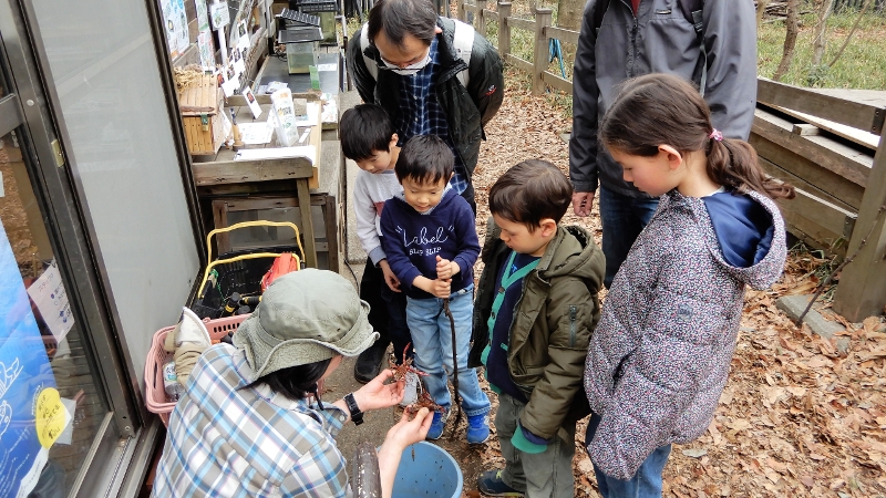 What is the satoyama remaining in Yokohama's Kohoku New Town, Tsuzuki Ward's 'Chigasaki Park Natural Ecological Garden'?