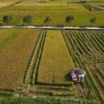 Low emissions are considered an additional criterion that markets encourage and share with producers as part of broader environmental protection efforts - PHOTO: ARCHIVES