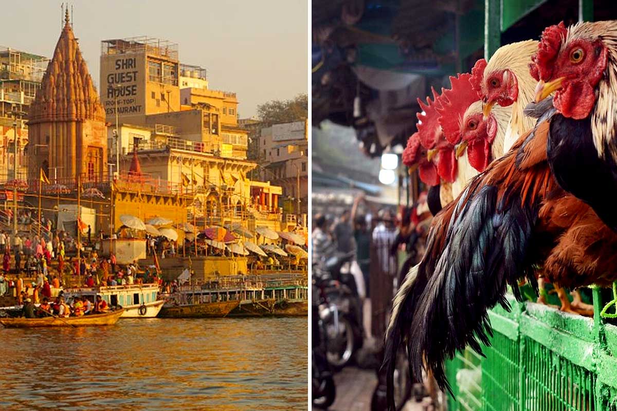 ইতিমধ্যে প্রস্তাবে সিলমোহর দিয়েছে বারাণসী পৌরনিগম।